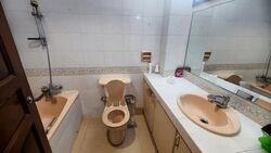 Florence Road (D19), Terrace #500346721